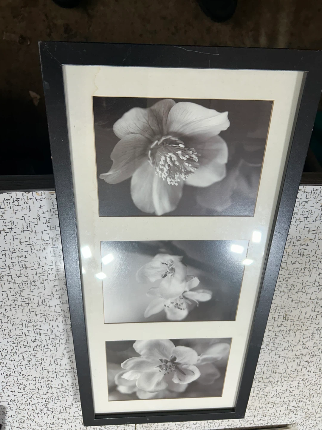 Framed 3-Panel Black and White Floral Art Print 10x20.5 inches