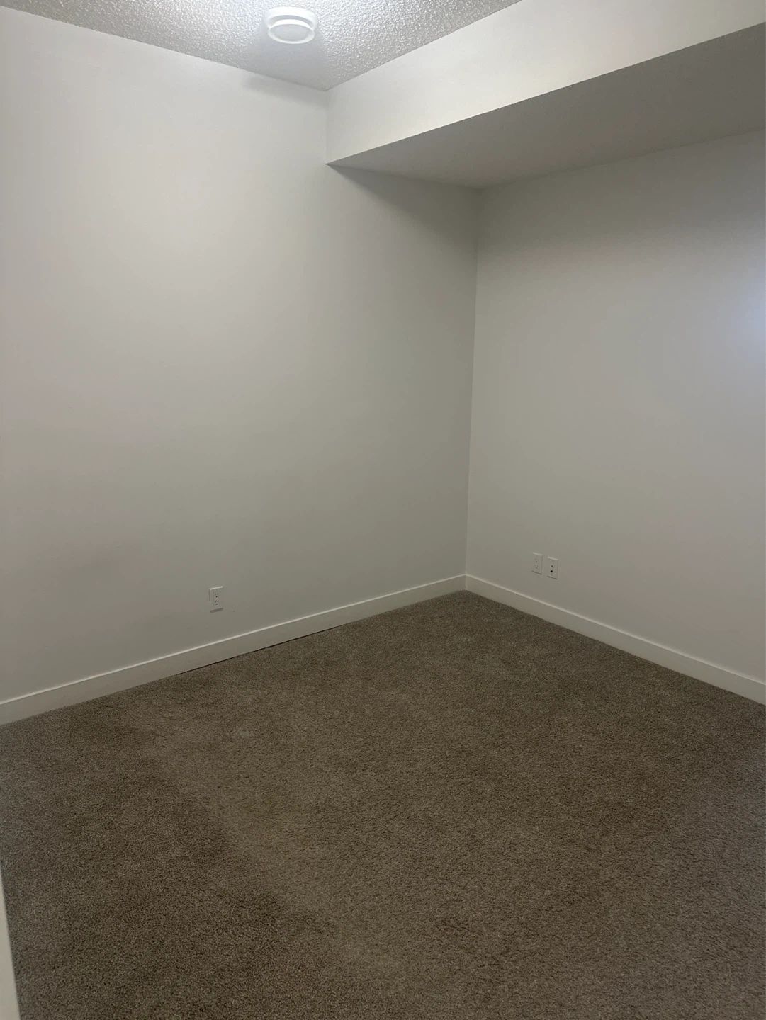 2 bedroom legal basement suite for rent - photo 5