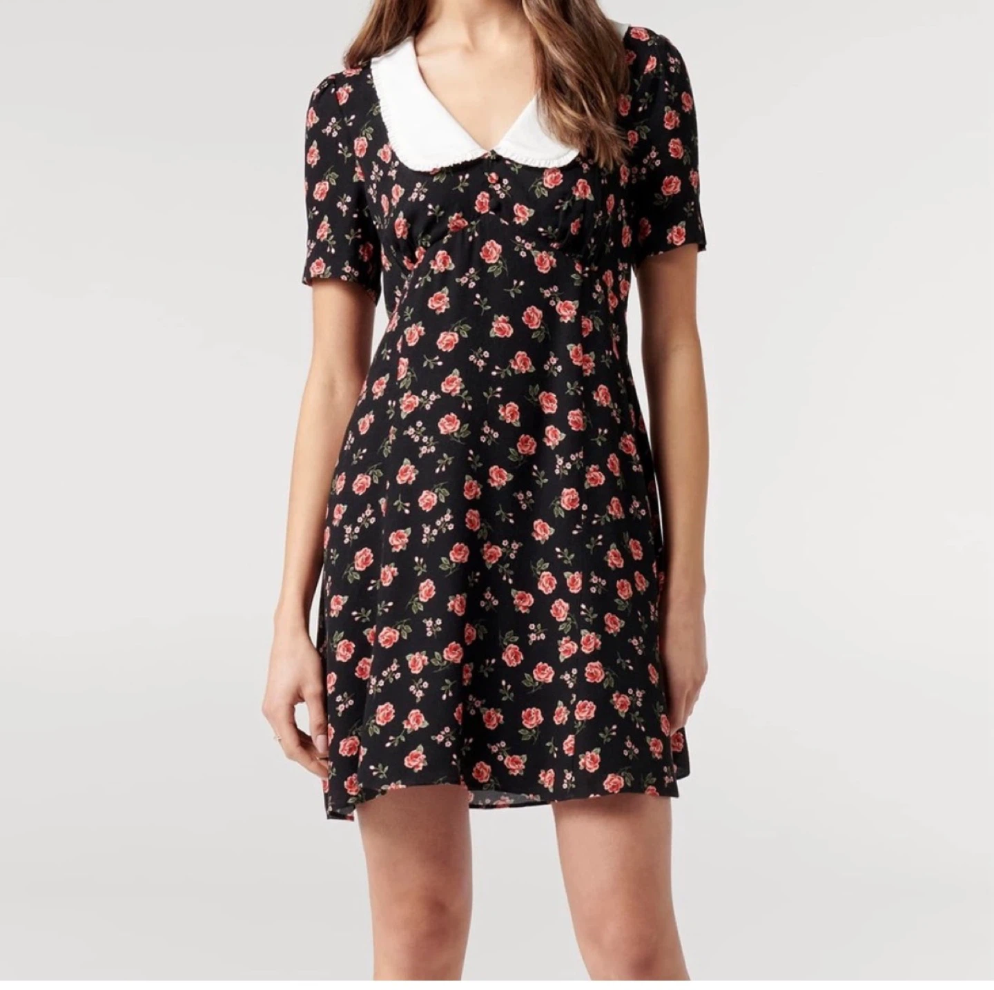 Ever new Black Floral Mini Dress with White Collar