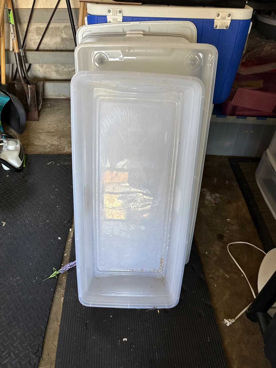 Clear Plastic Storage Bin