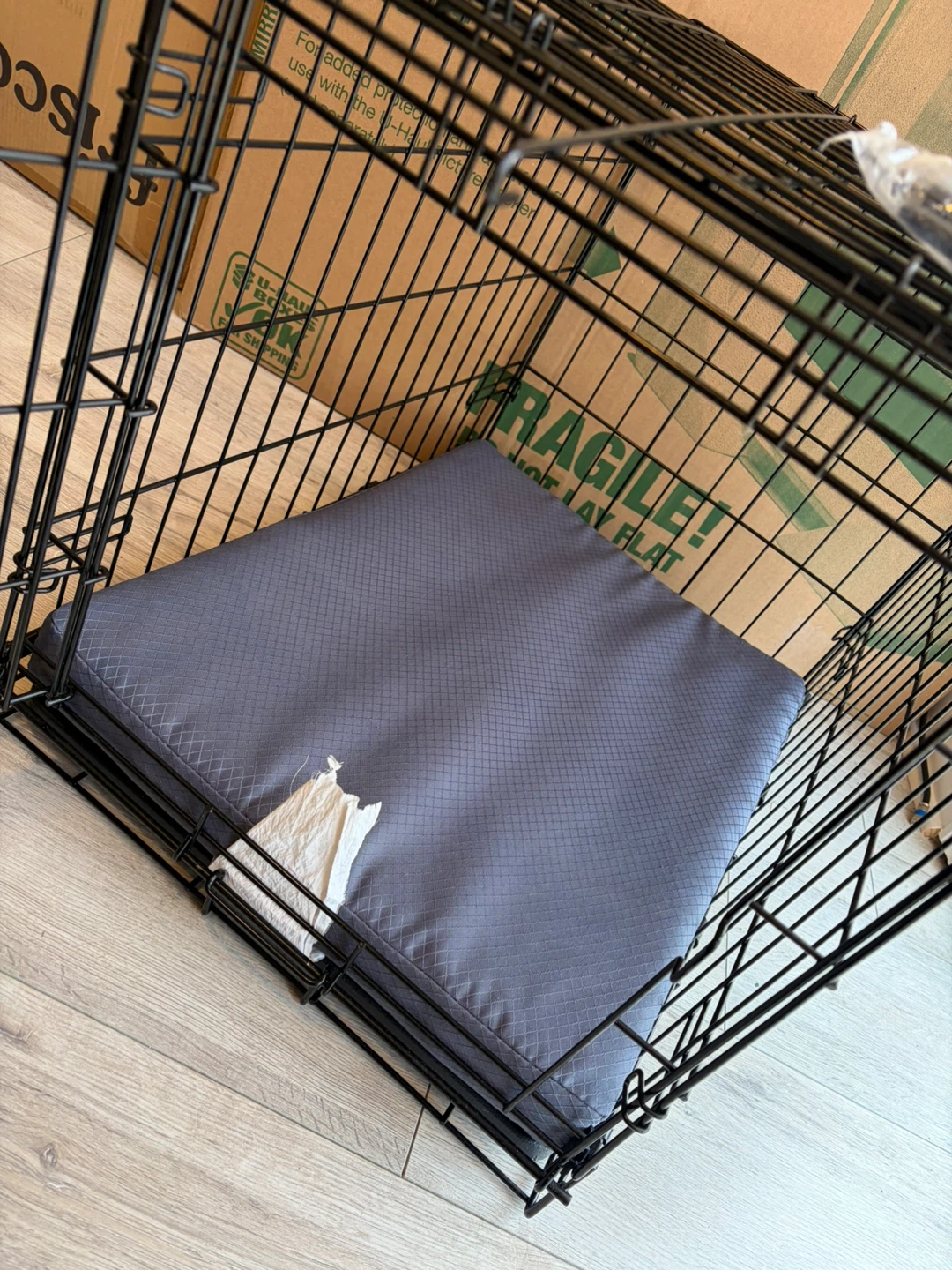 MidWest iCrate 1524 Dog Crate - photo 4