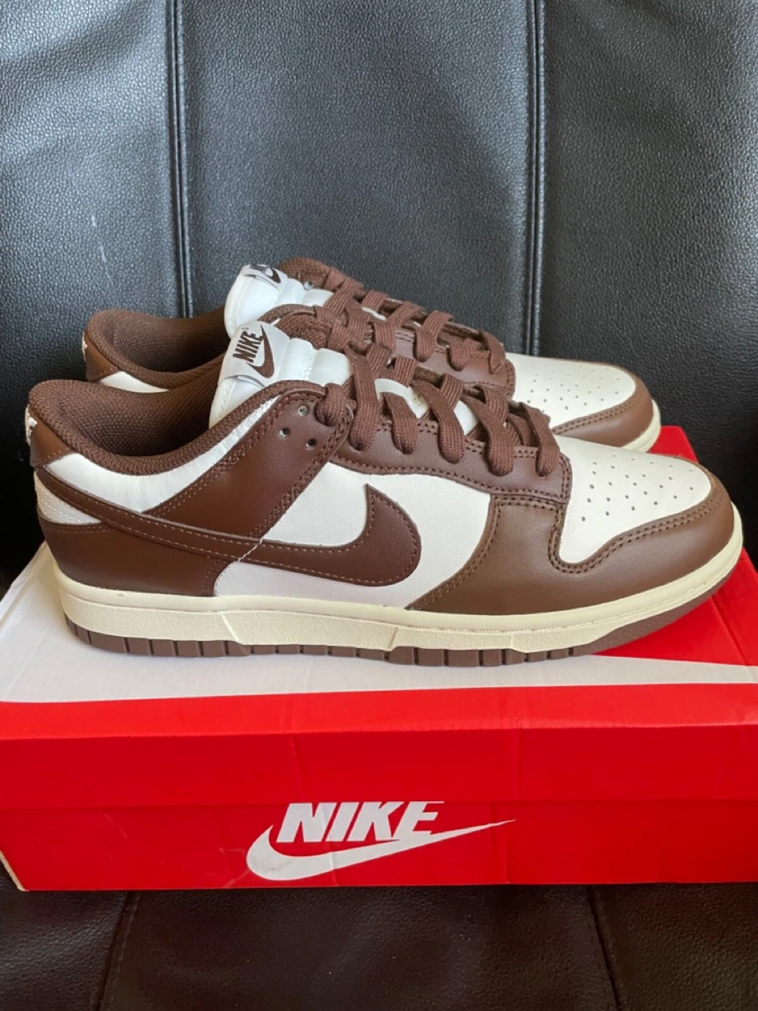 Nike Dunk Low Shoes