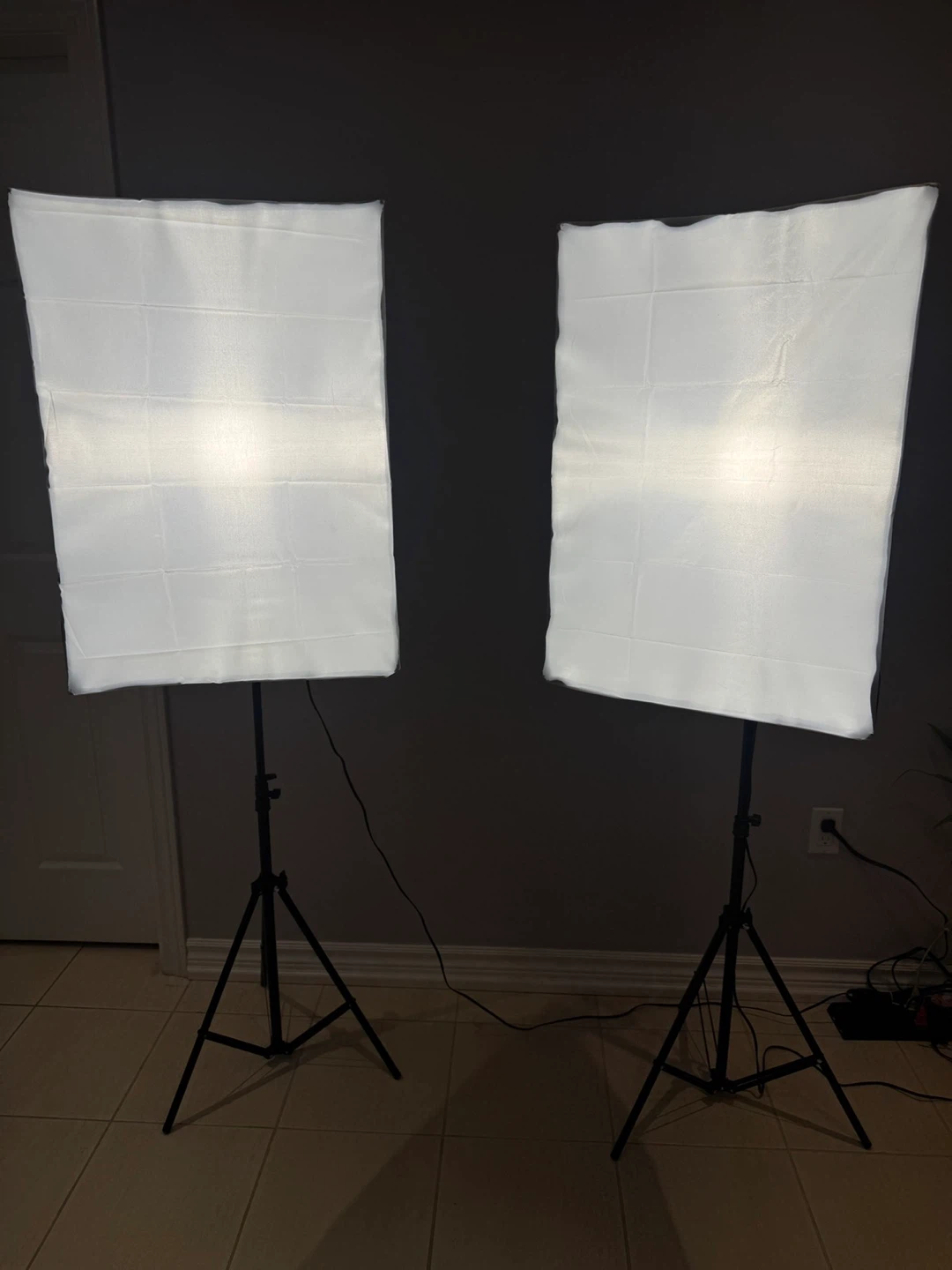 SKYTEXT Softbox Lighting Kit - photo 5