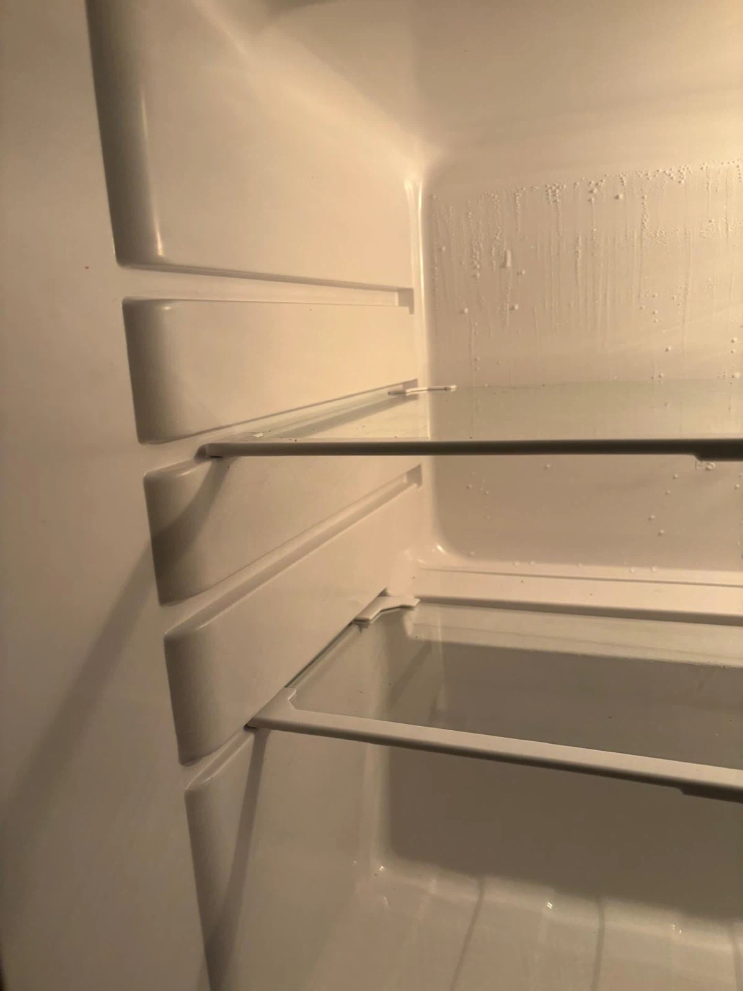 Frigidaire Mini Fridge - photo 2