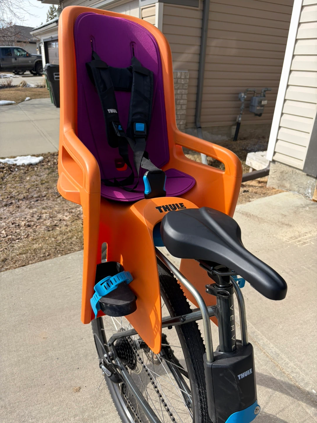 Thule toddler bike seat.