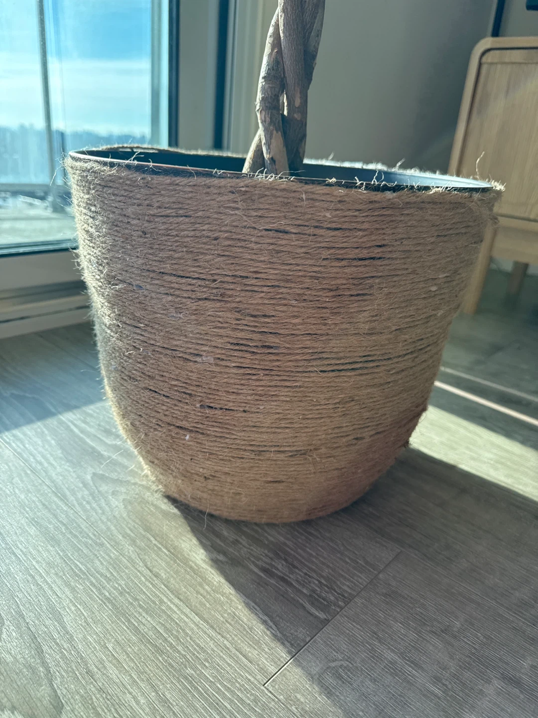 Twine Wrapped Plant Pot
