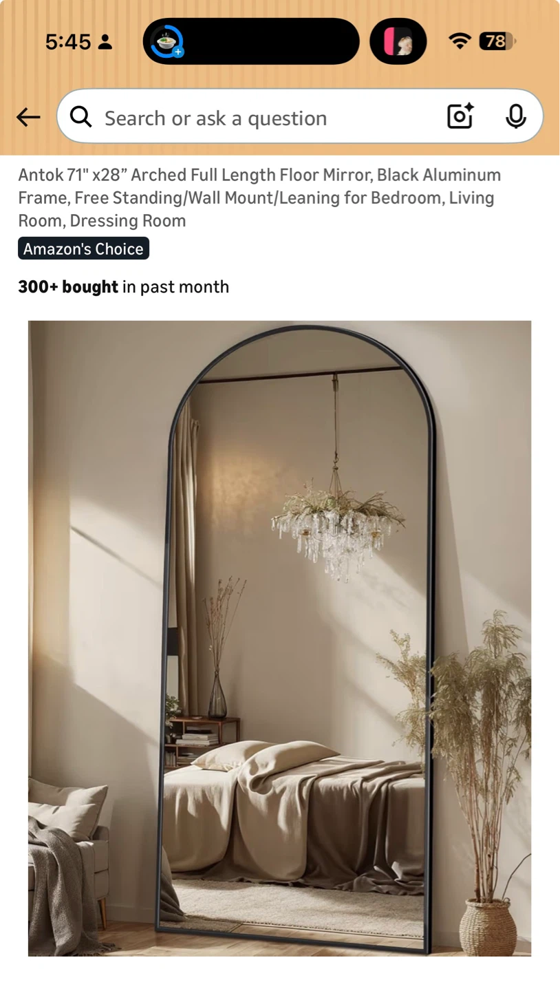 71" x 28" Arched Full Length Floor Mirror - Black Aluminum Frame - photo 2