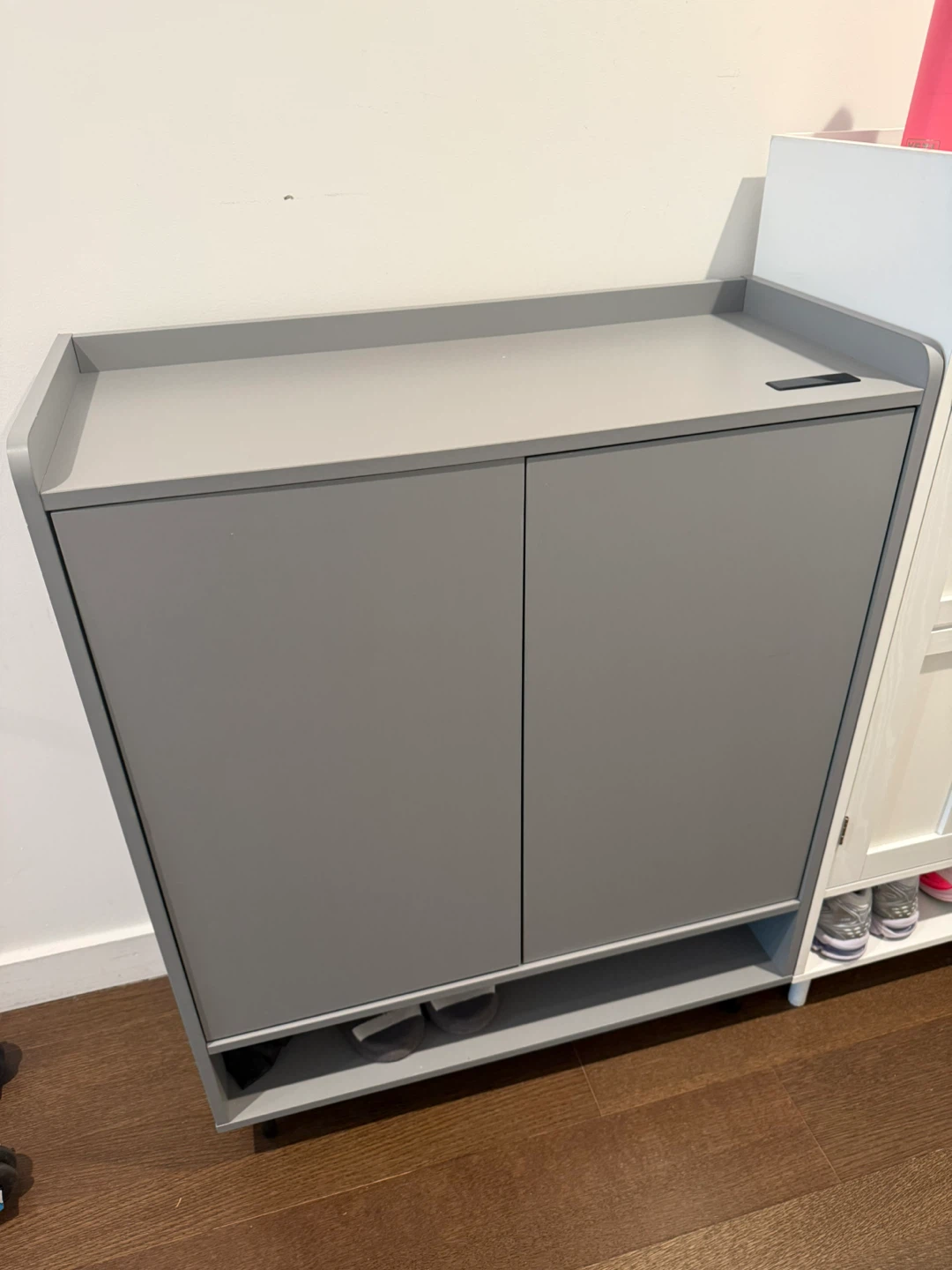 Grey Two-Door Shoe Cabinet