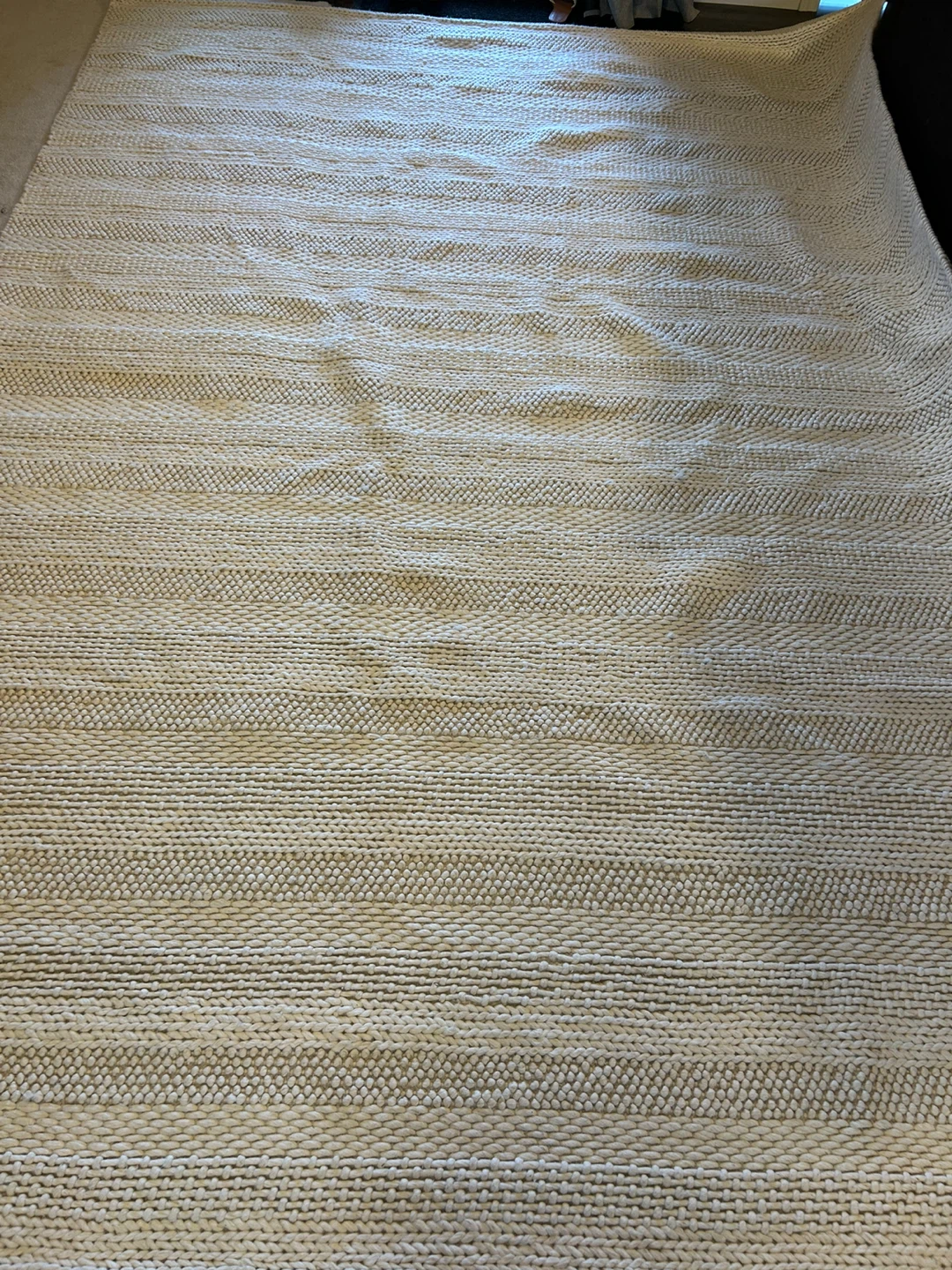 Large Area Rug - photo 5