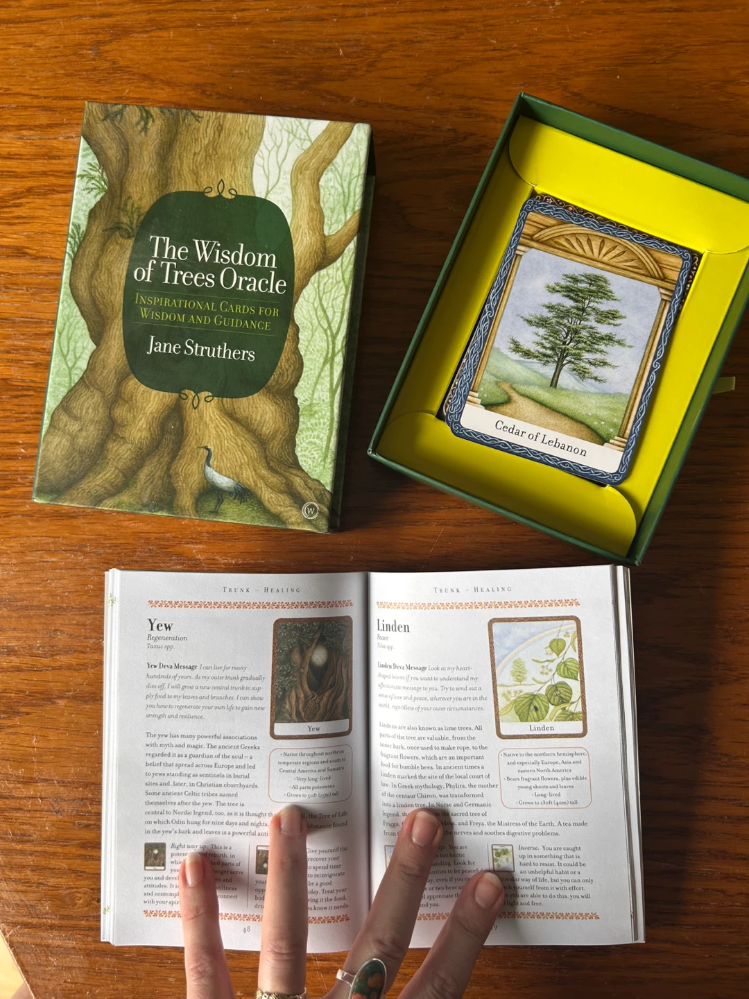 The Wisdom of Trees Oracle Inspirational Cards - photo 2