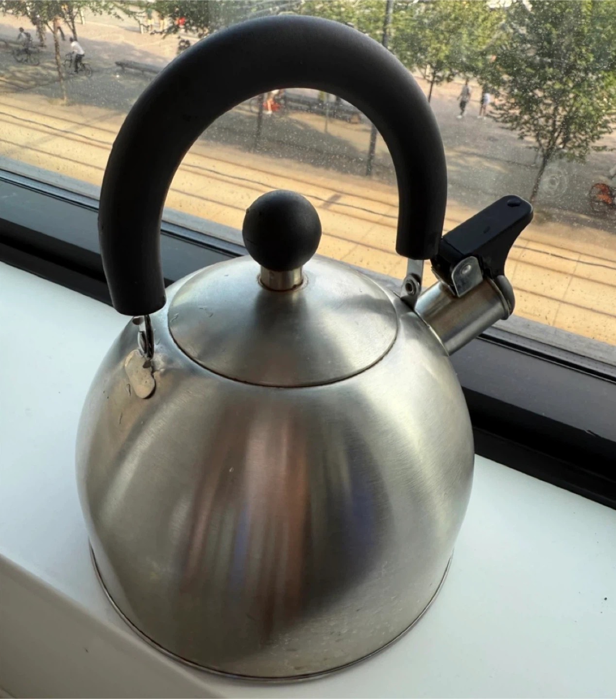 Stainless Steel Whistling Kettle