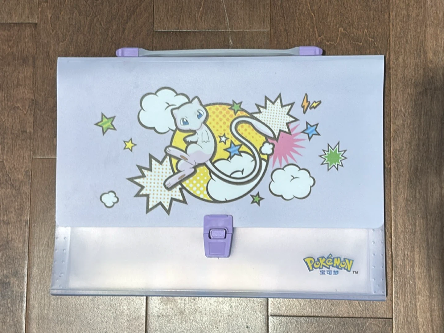 Pokemon Accordion File Folder