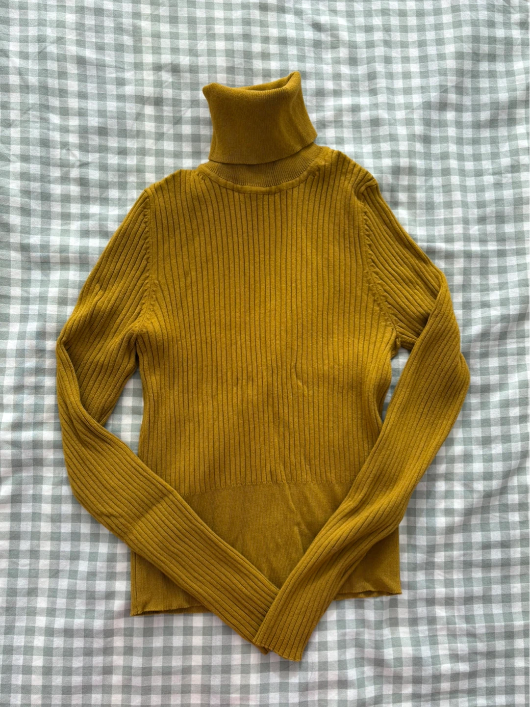 Zara Turtleneck Sweater (Size M)