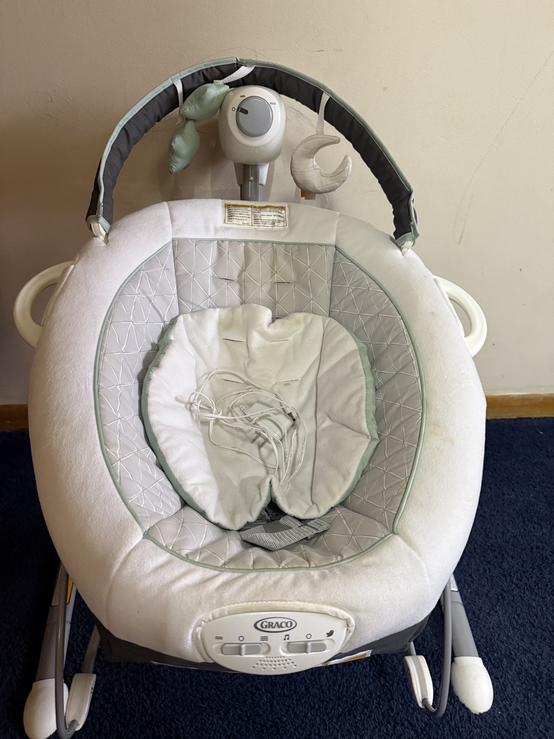 Graco Baby Swing