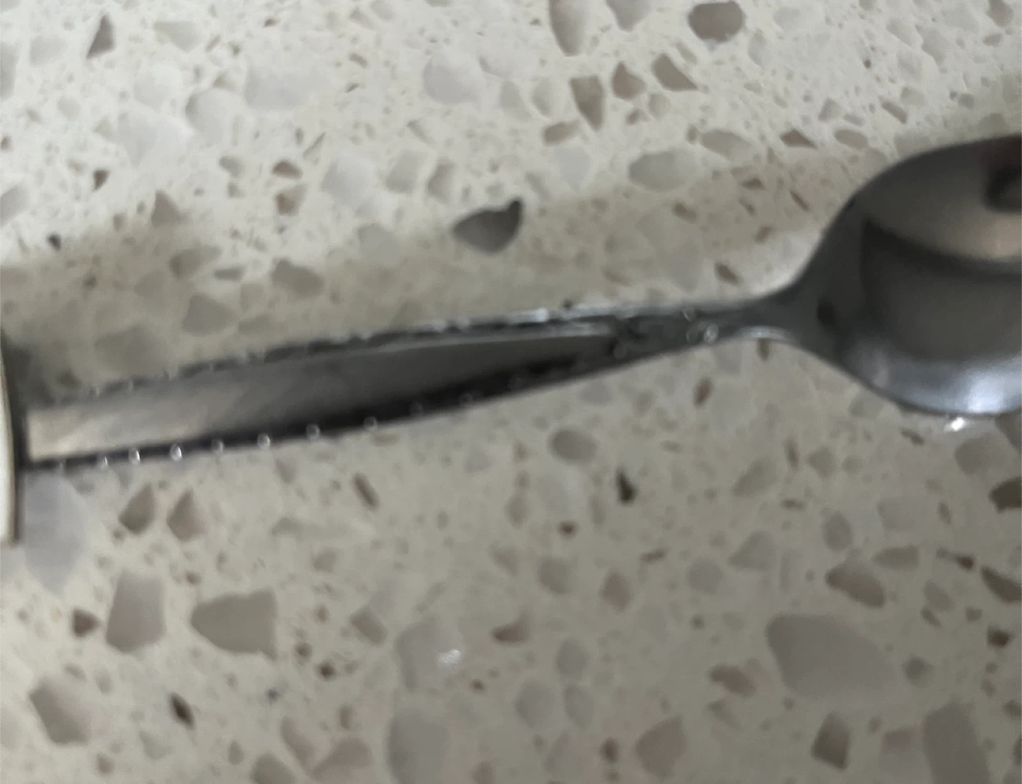 Saskatchewan Rose Souvenir Spoon - photo 3