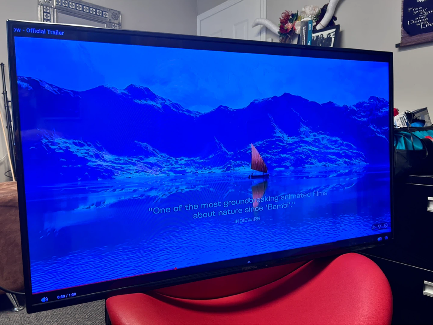 Insignia 40" LED TV