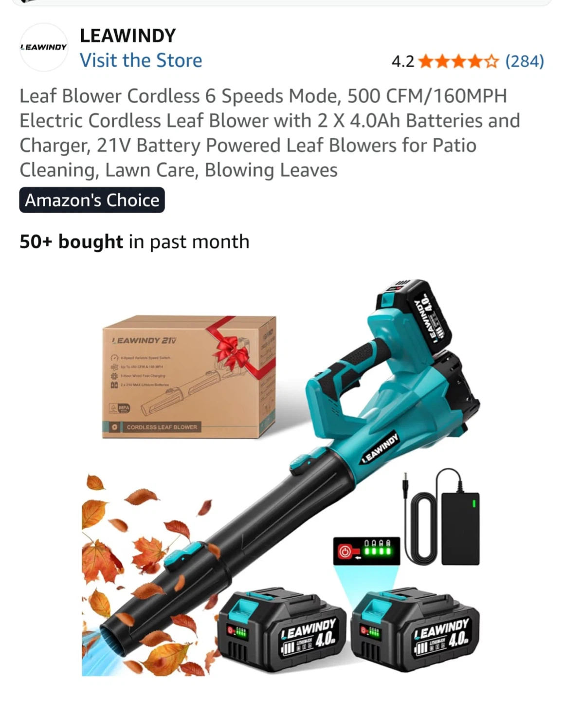 LEAWINDY 21V Cordless Leaf Blower 2 Battery Kit - photo 2
