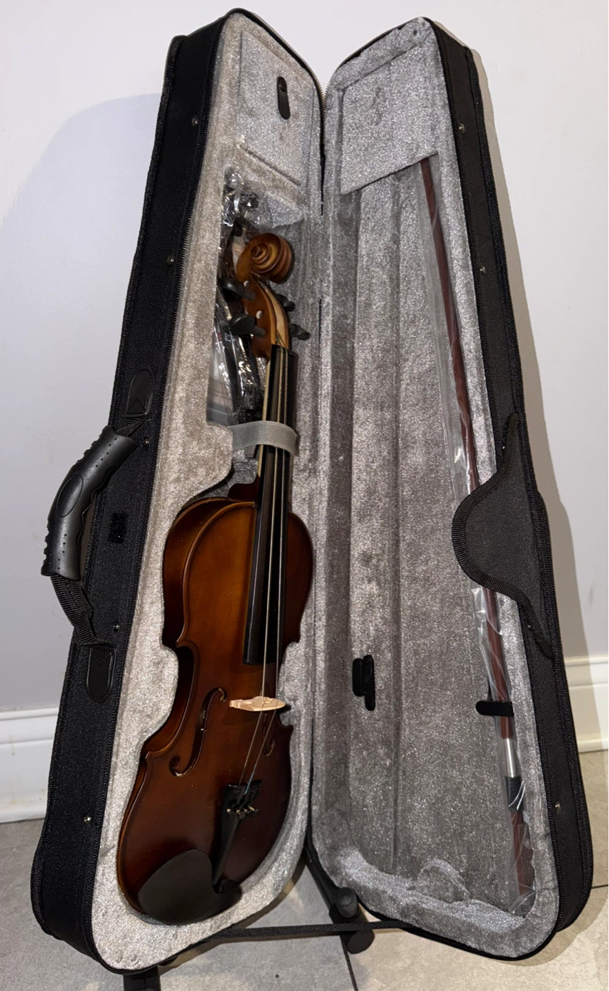 Violin with Case and Bow