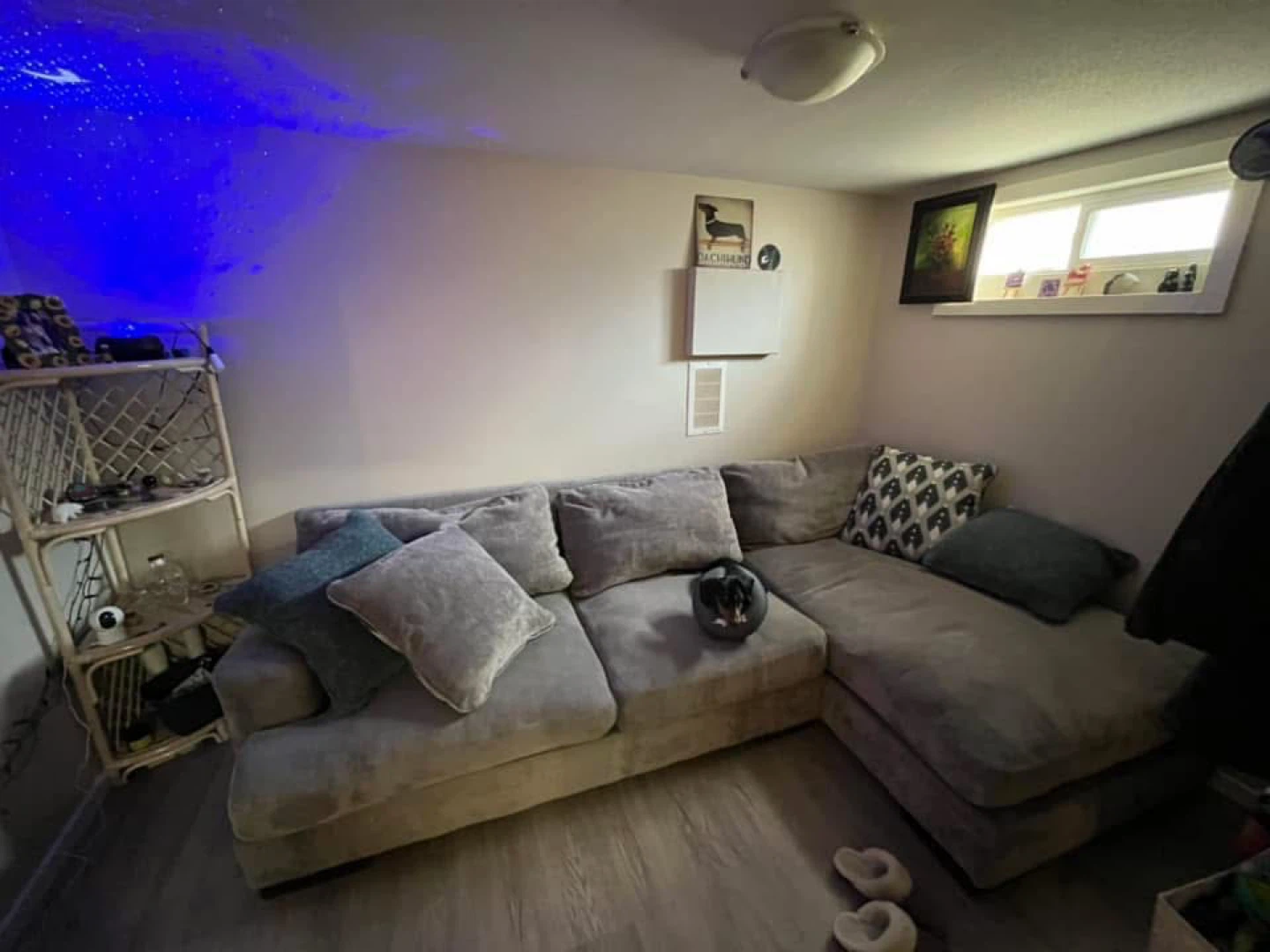 Grey Sectional Sofa with Plush Cushions