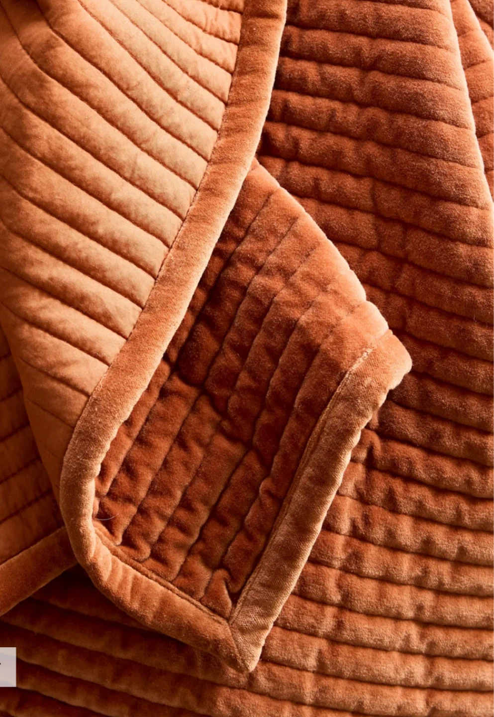 CB2 Velvet Quilt and two shams set