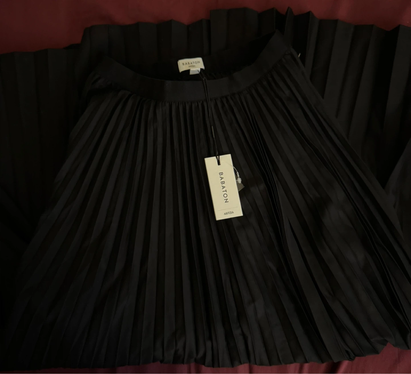 Babaton black skirt