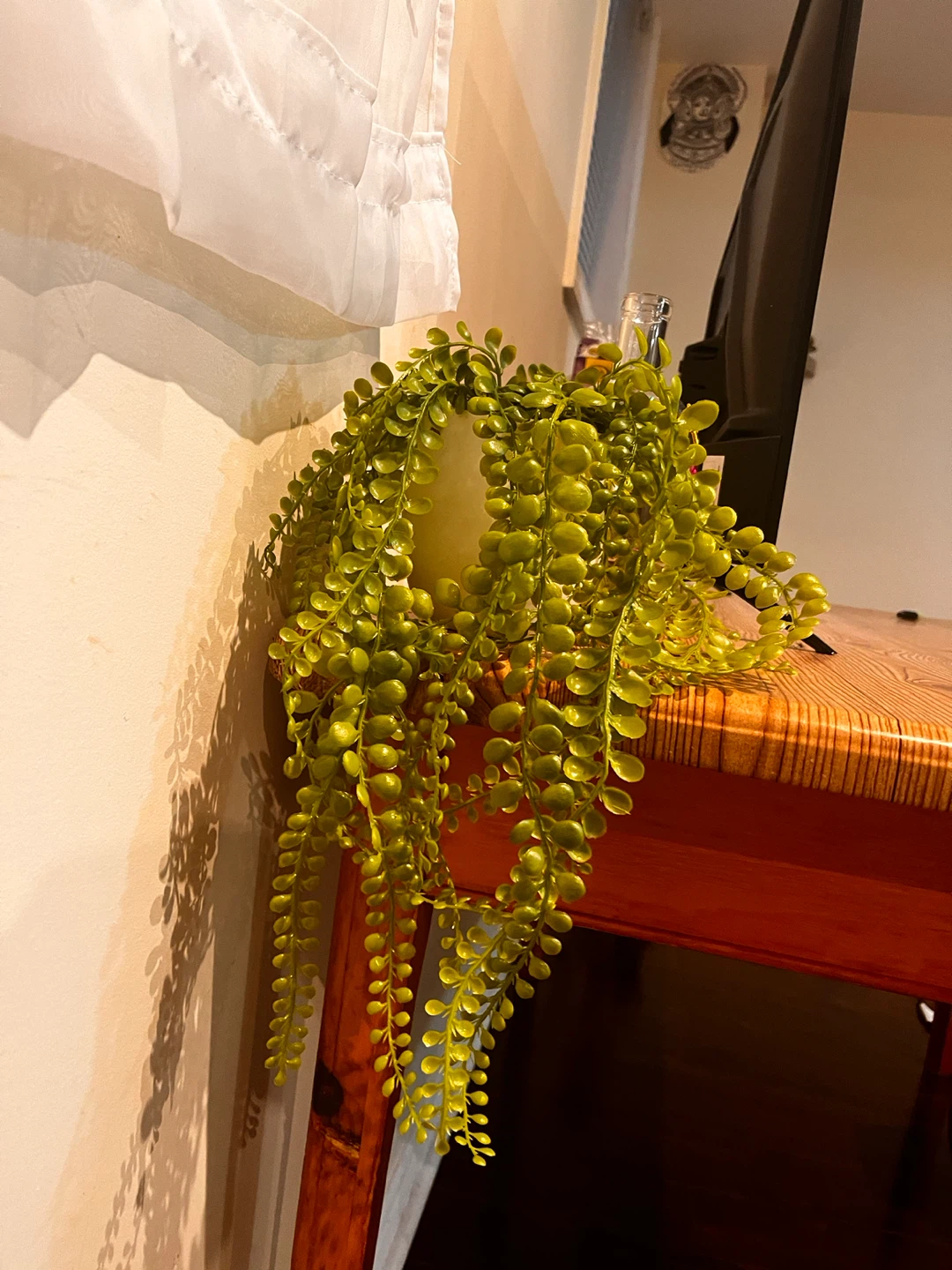 Artificial Trailing Plant