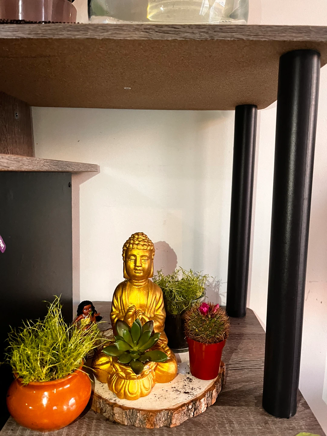 Gold Buddha Statue with Succulent and Plants