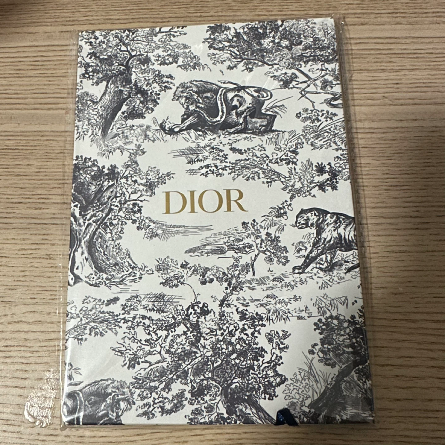 Dior notebook
