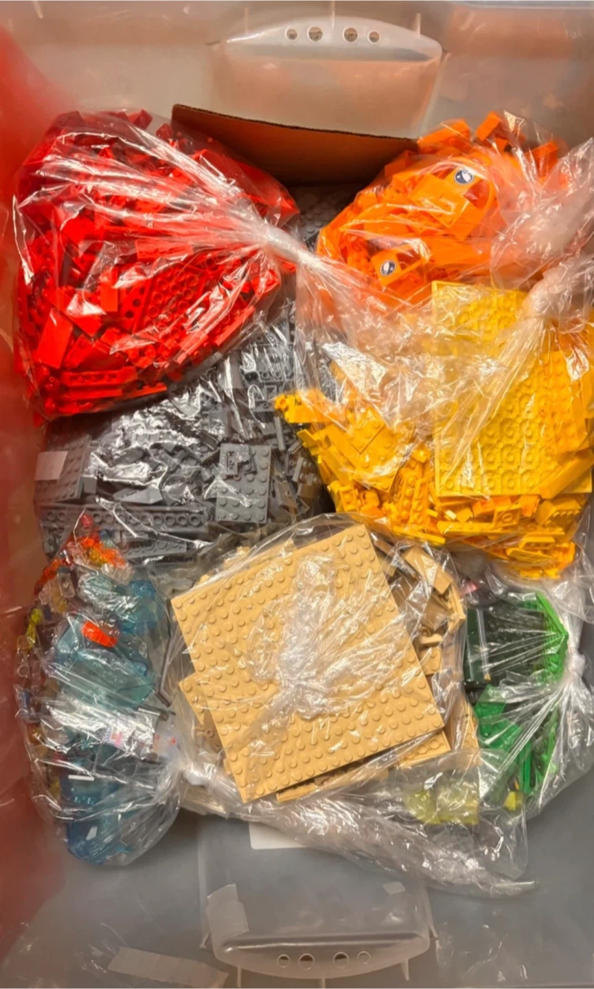 Sorted Bulk Lego bin for kids