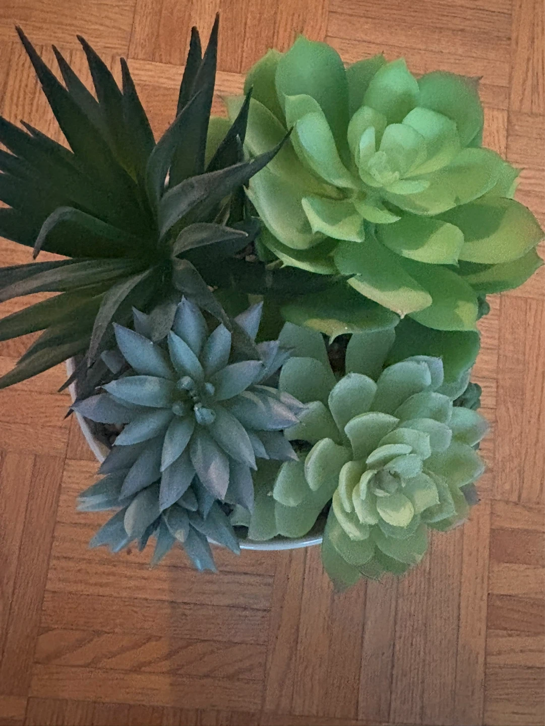 Artificial Succulent Arrangement in White Embossed Pot - photo 3