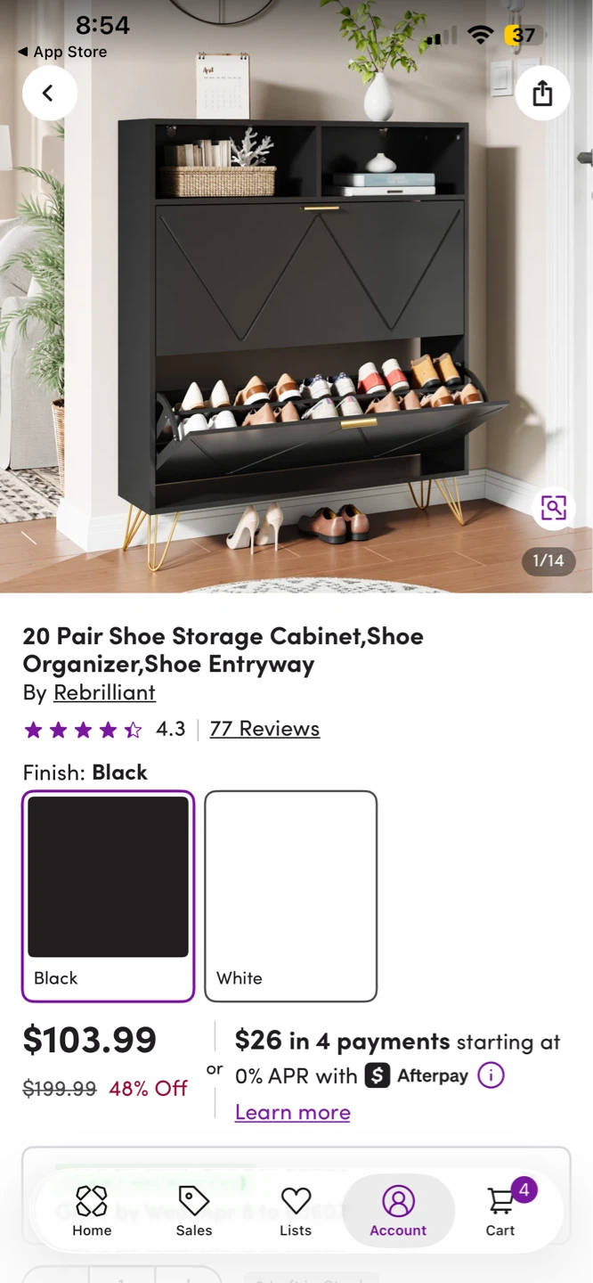 Rebrilliant 20 Pair Shoe Storage Cabinet - Black