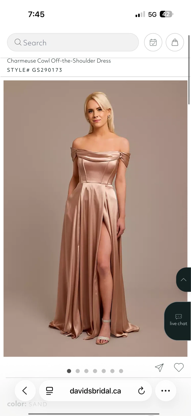 Grad/ bridesmaid dress