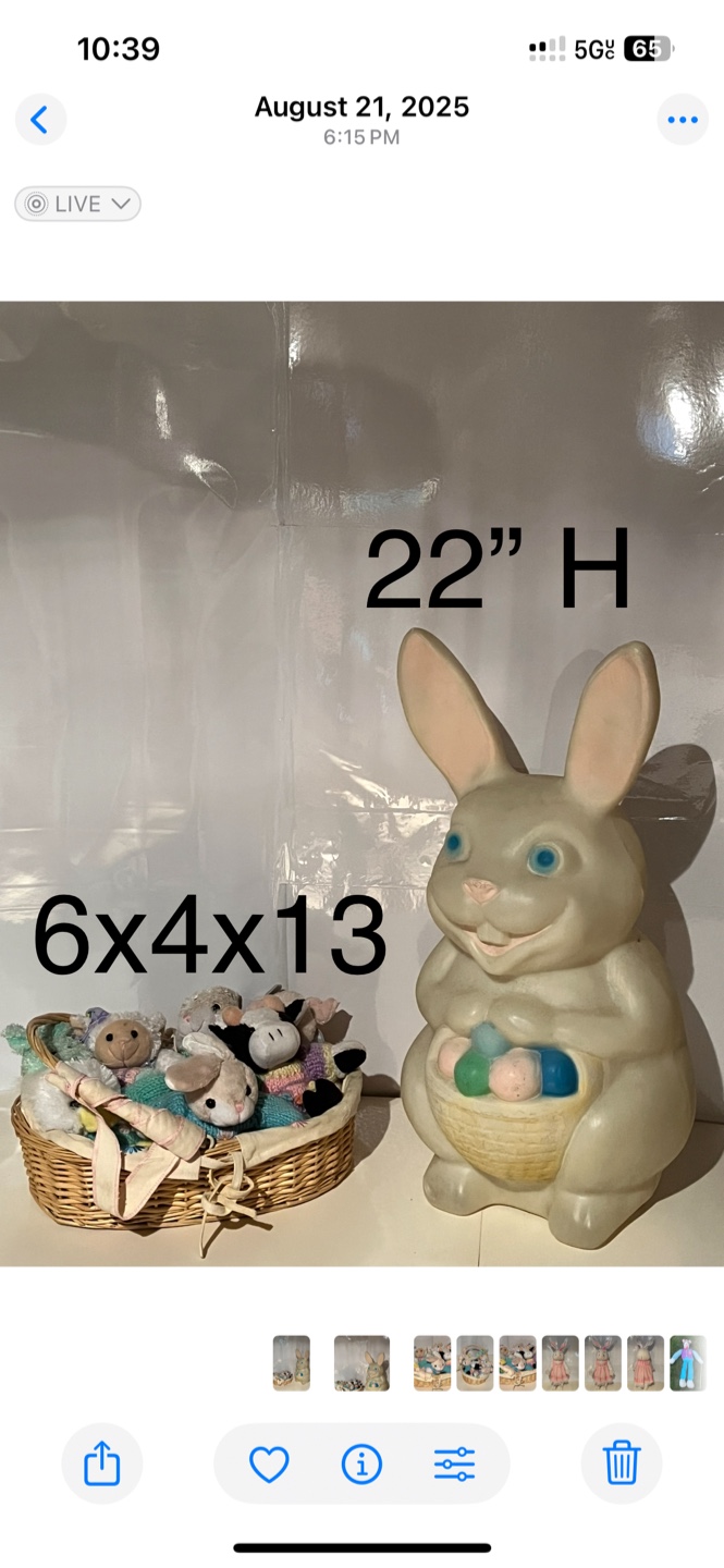 Easter Bunny Blow Mold & Basket of Stuffed Animal