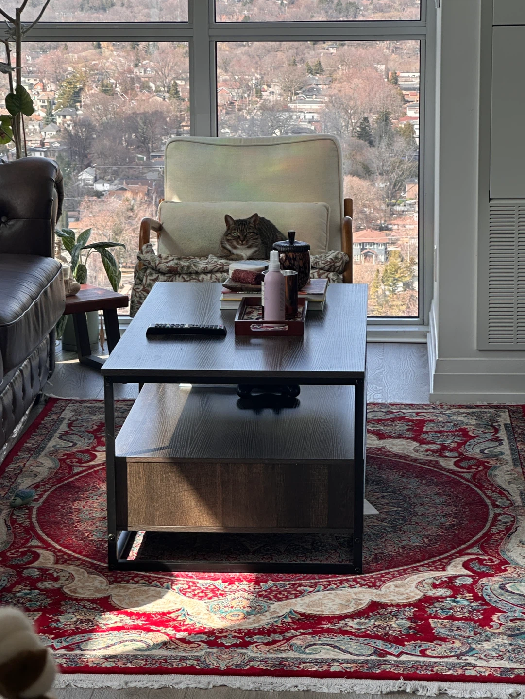 Dark Wood Coffee Table with Storage