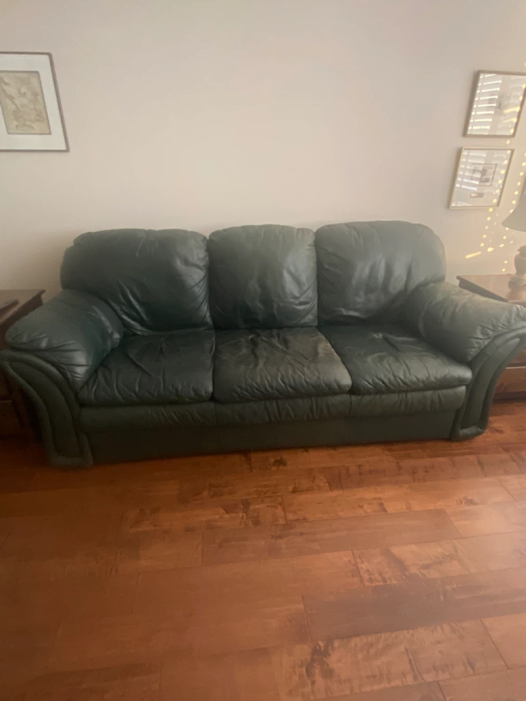 FREE Green Leather Sofa - photo 2