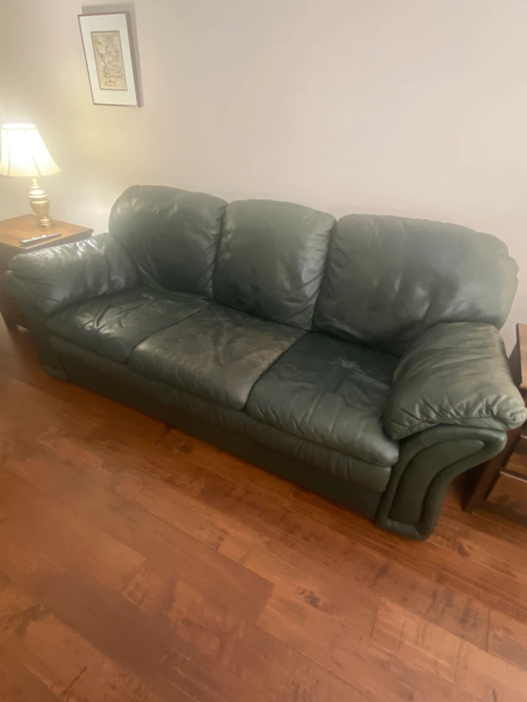 FREE Green Leather Sofa