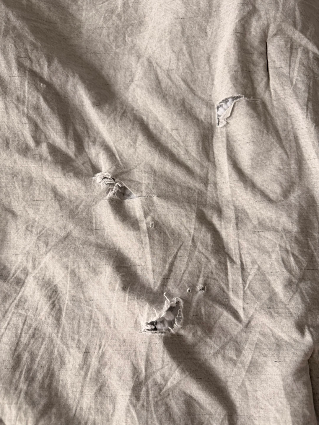 FREE King Size Comforter - photo 2