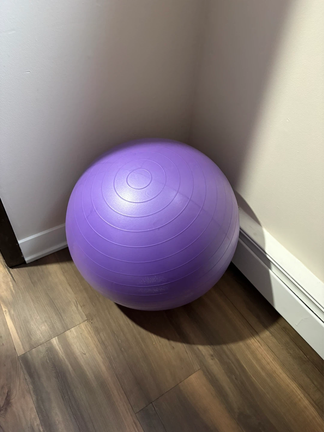 Exercise Ball
