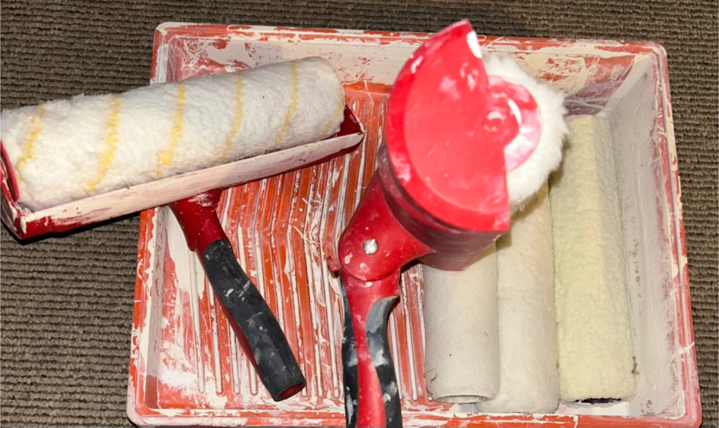 Paint Roller Set with Tray and Rollers - photo 3