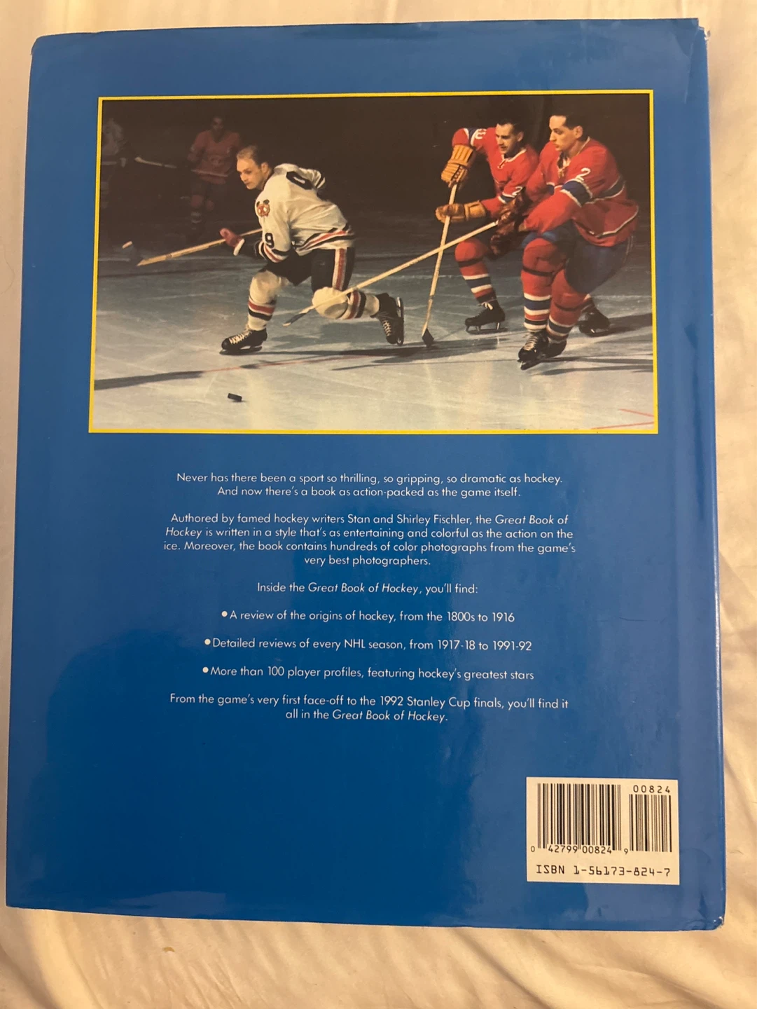 The Great Book of Hocky - photo 2