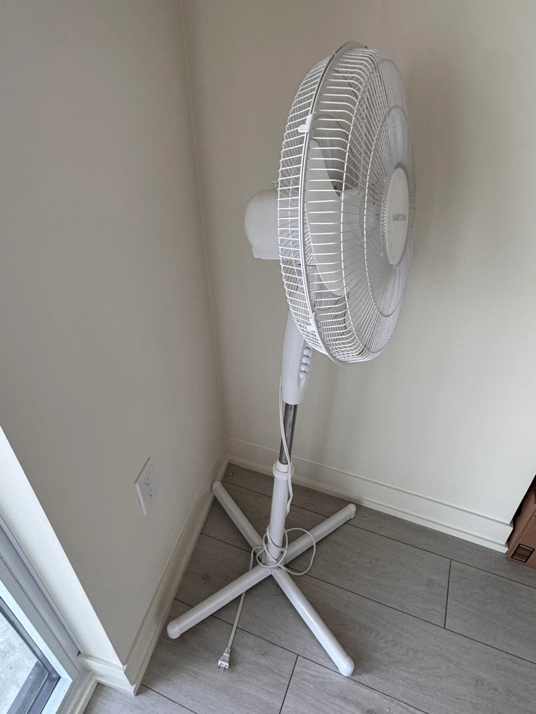 fan - photo 2