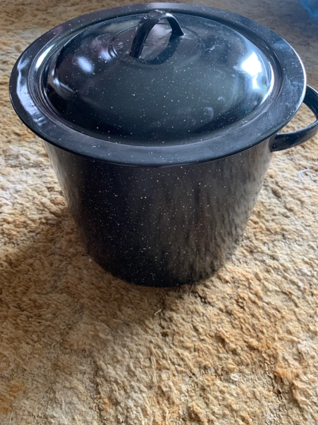 Black Speckled Enamel Pot with Lid