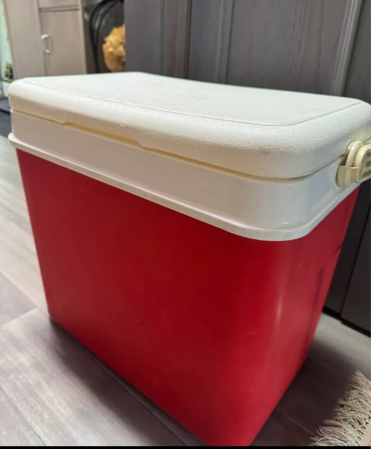 Coleman Cooler Red/White