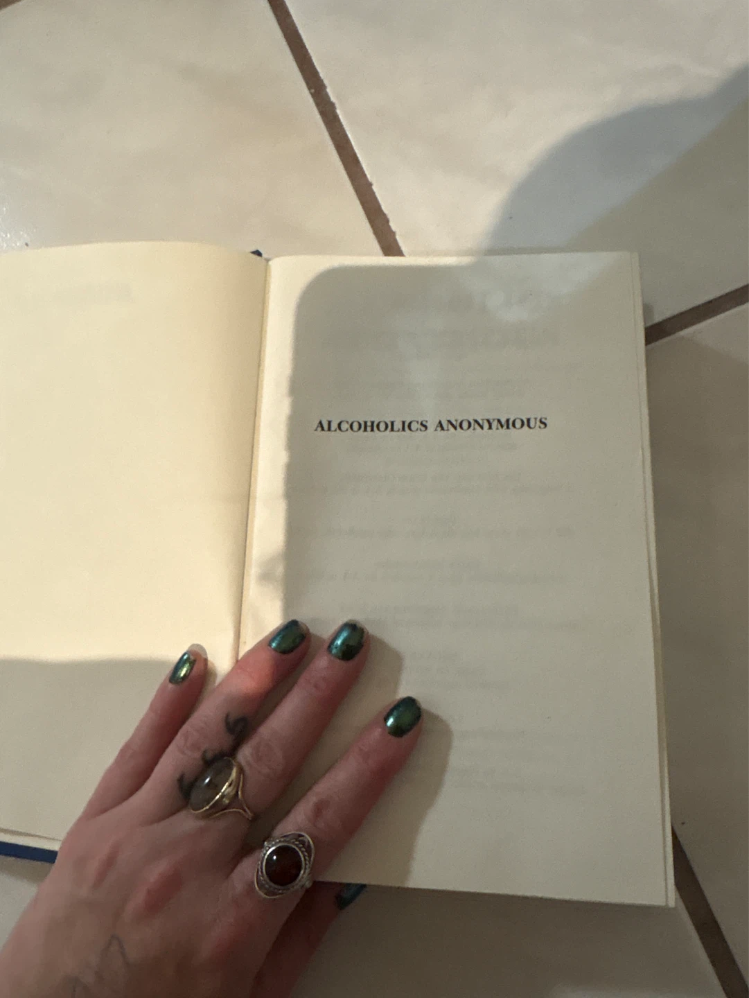 Alcoholics Anonymous Book - photo 2
