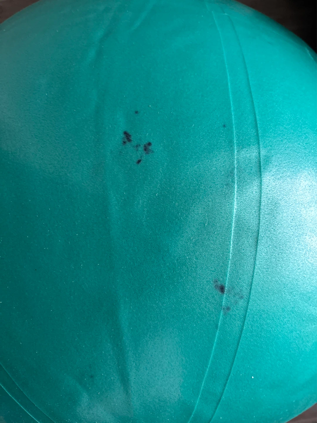 Jogi Teal Exercise Ball - photo 3