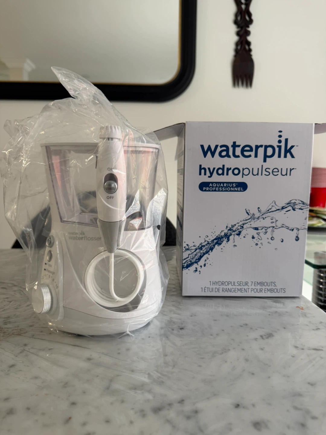 Waterpik Aquarius Professional Water Flosser