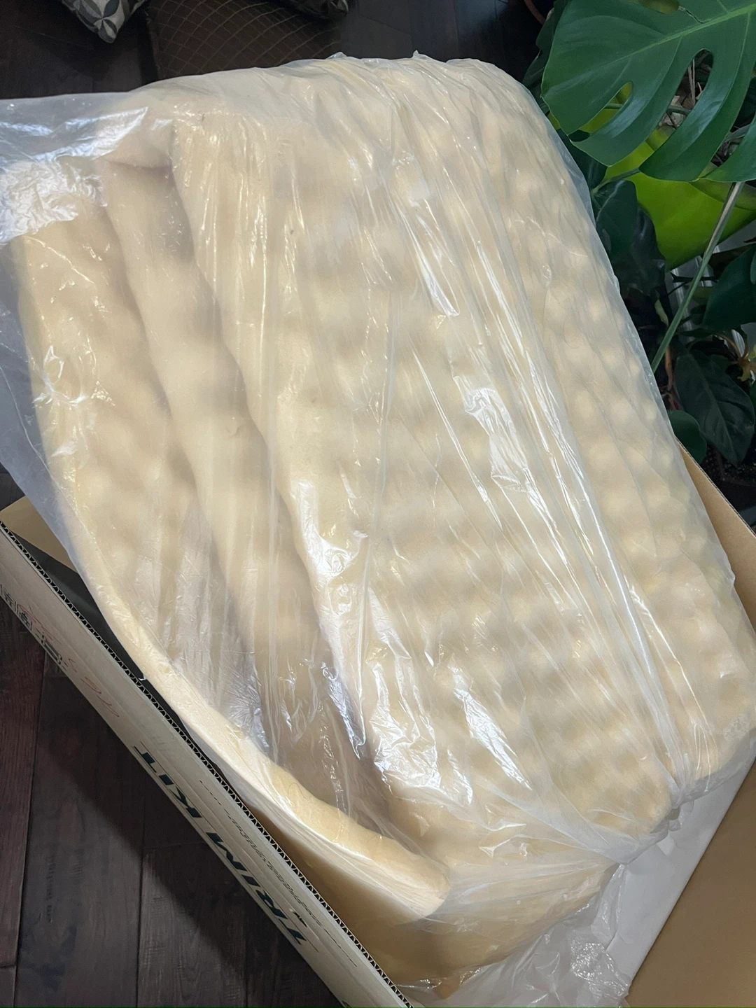 Mattress cushion