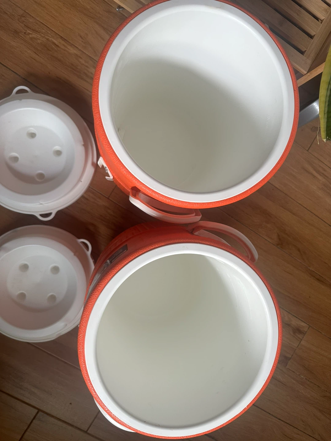 Igloo 5-Gallon Water Cooler Jugs (2-Pack)