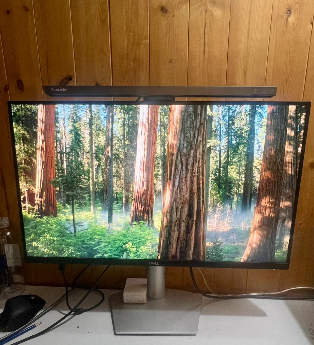 Dell Computer Monitor with FunLight Screen Bar