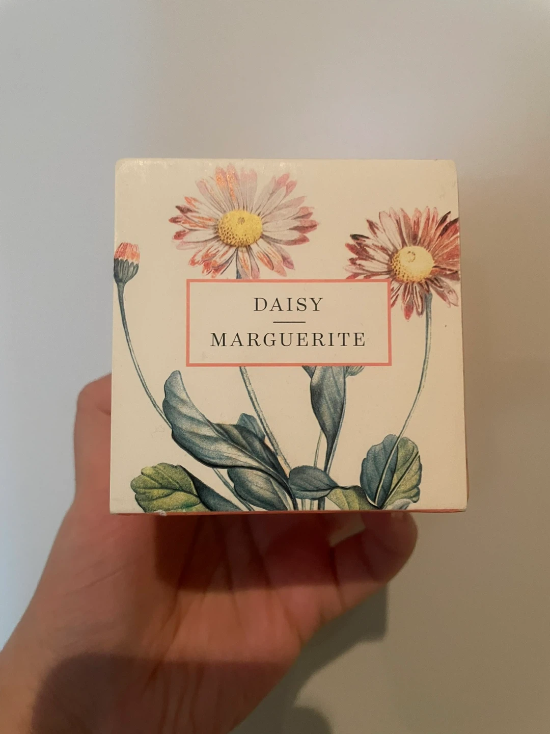 Daisy plant cube